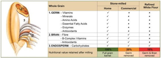 The Life and Essence of a Grain