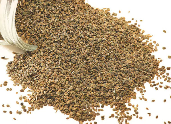 Celery Seeds Image