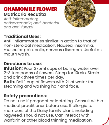 Chamomile Flowers : Dried - Matricaria chamomilla Image