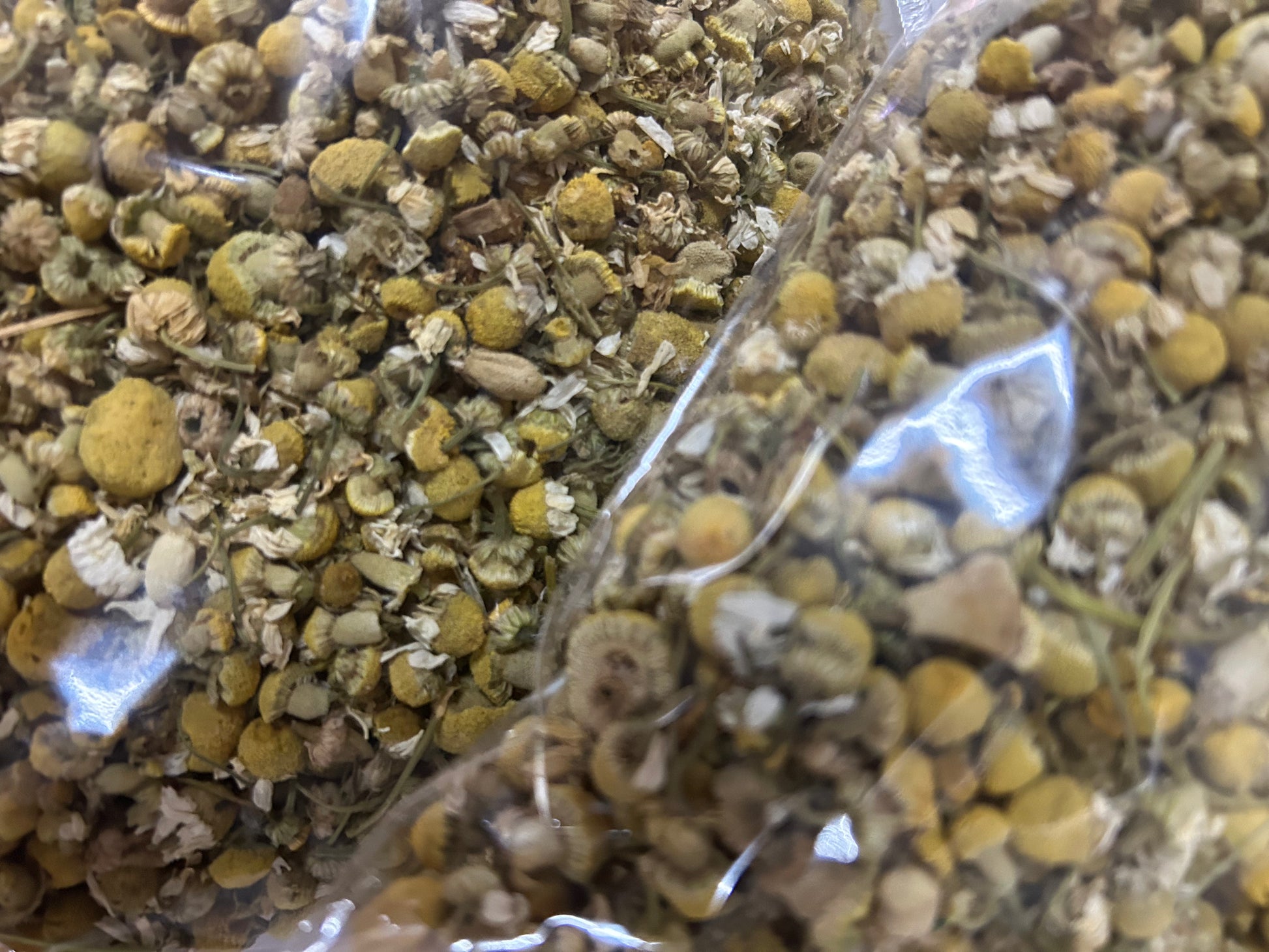 Chamomile Flowers : Dried - Matricaria chamomilla Image