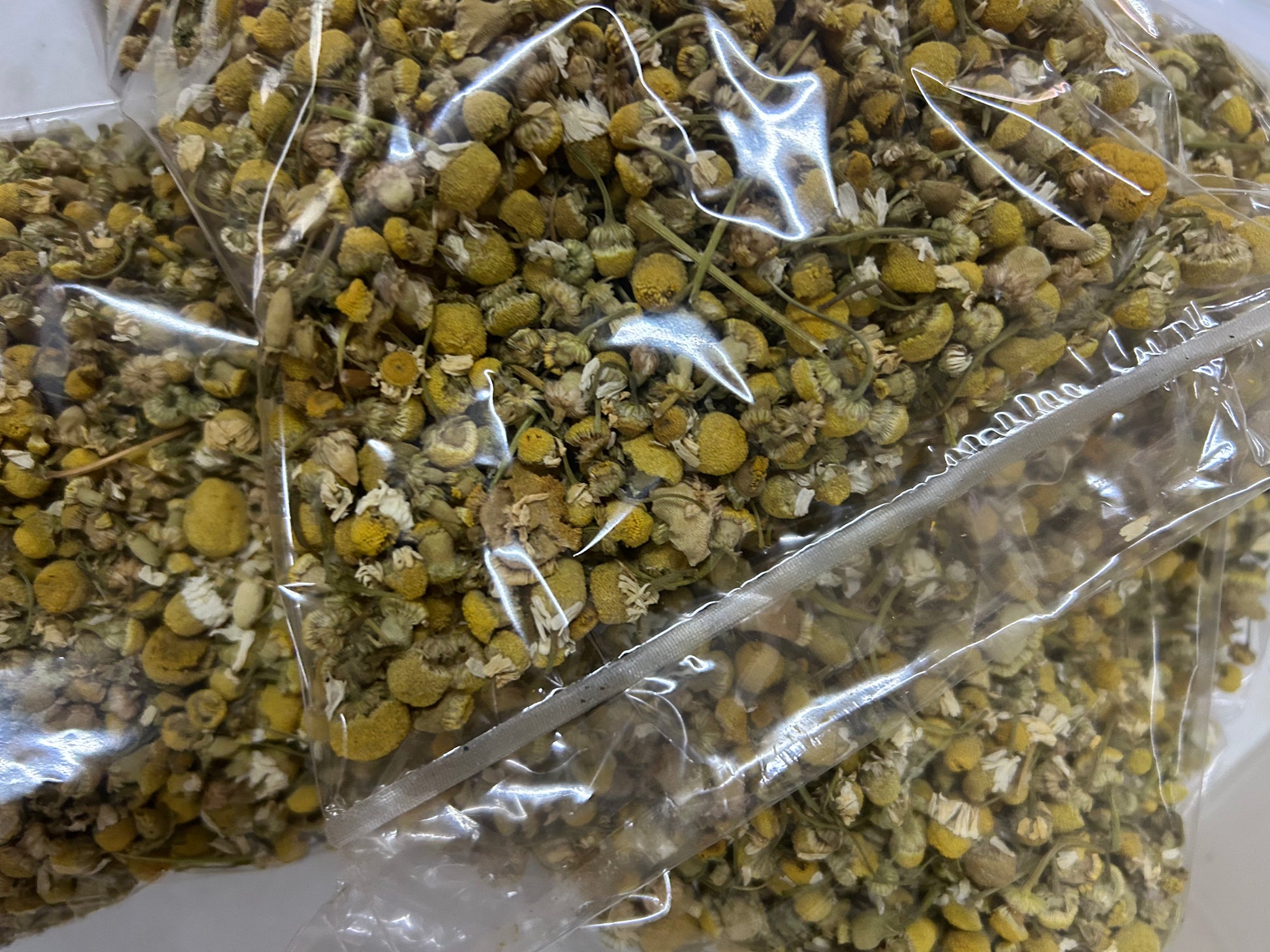 Chamomile Flowers : Dried - Matricaria chamomilla Image
