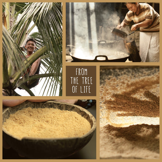 Coconut Sugar Image