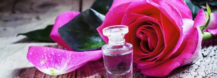 Rose Essential Oil Image