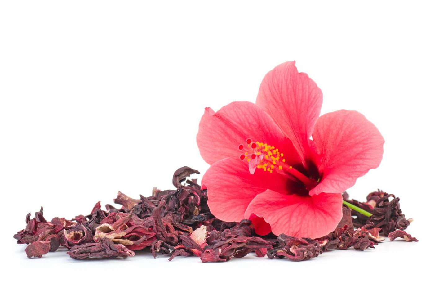 Hibiscus Flowers : Dried - Hibiscus rosa-sinensis Image