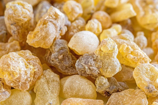 Frankincense serata Essential Oil Image