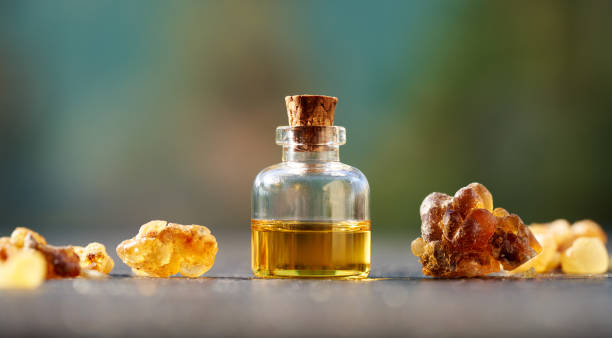 Frankincense serata Essential Oil Image