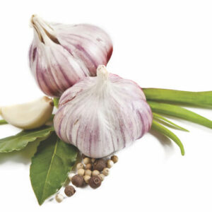 Garlic Flakes (Allium sativum) Image