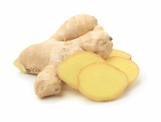 Ginger - Zingiber officinale Image