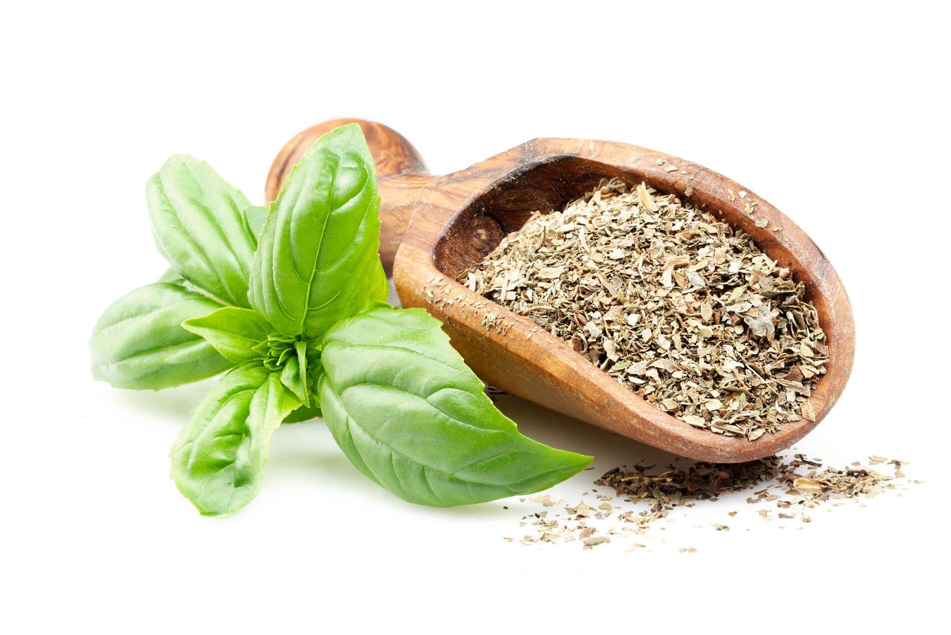 Basil Image