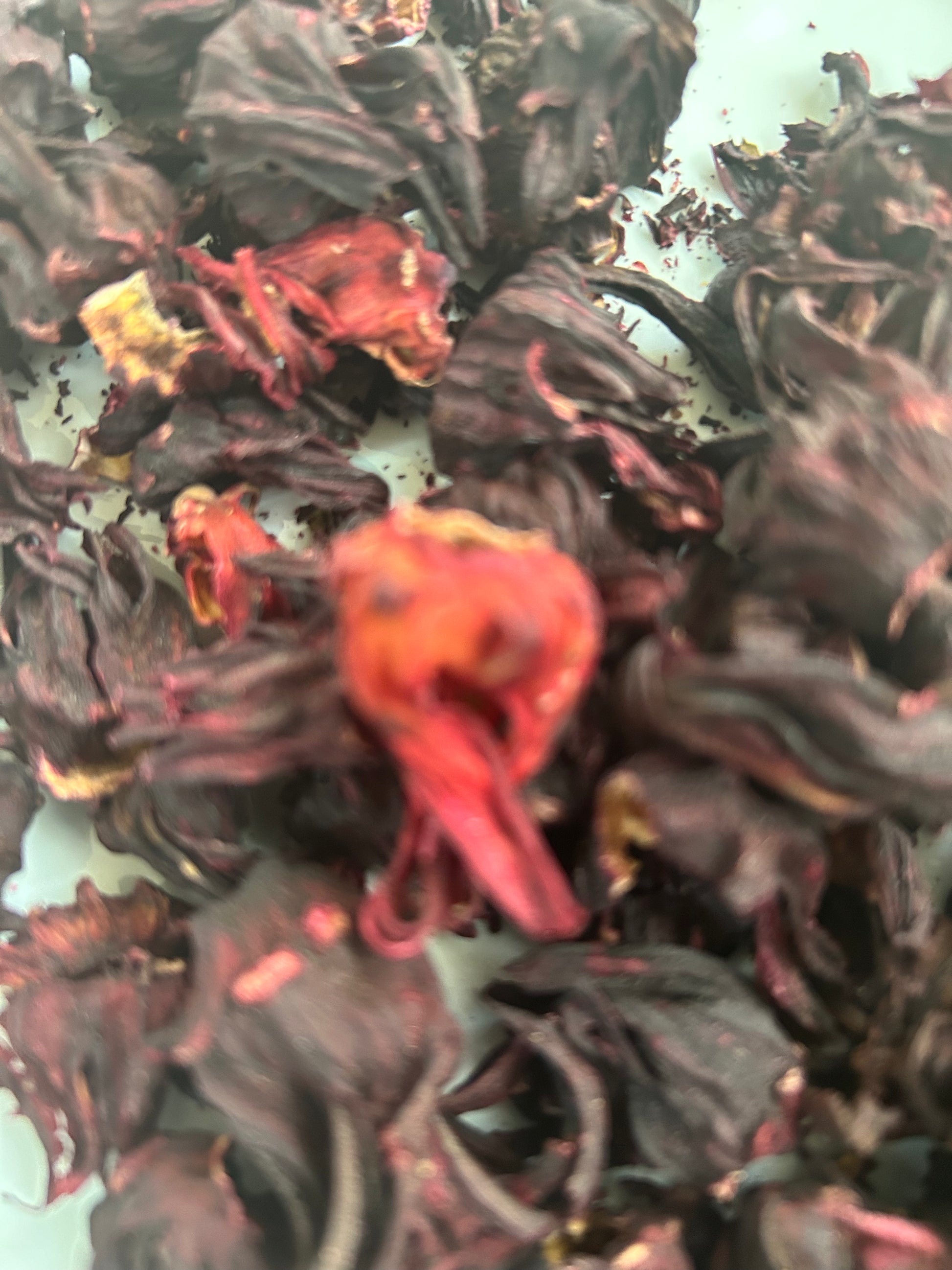 Hibiscus Flowers : Dried - Hibiscus rosa-sinensis Image
