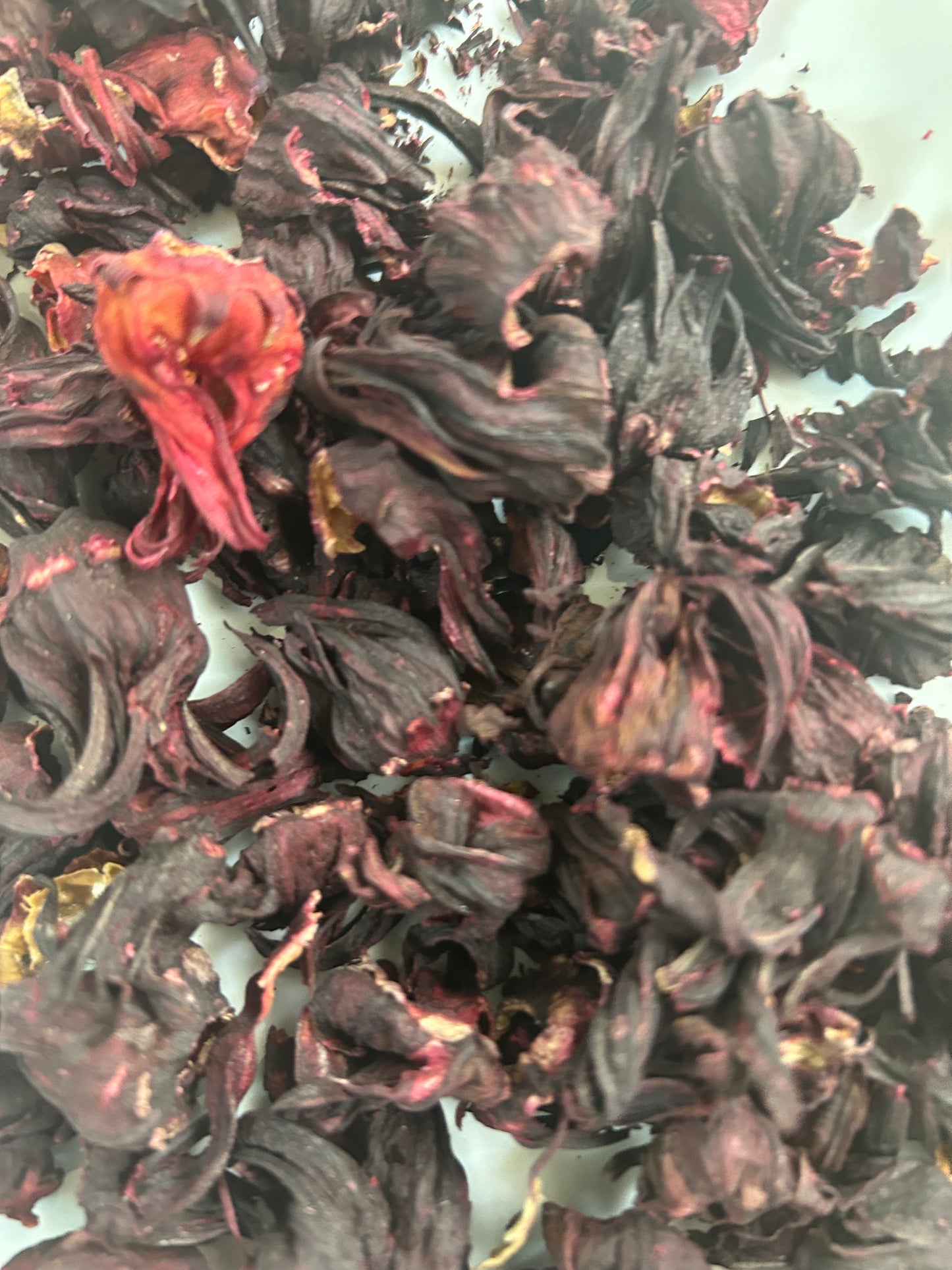 Hibiscus Flowers : Dried - Hibiscus rosa-sinensis Image