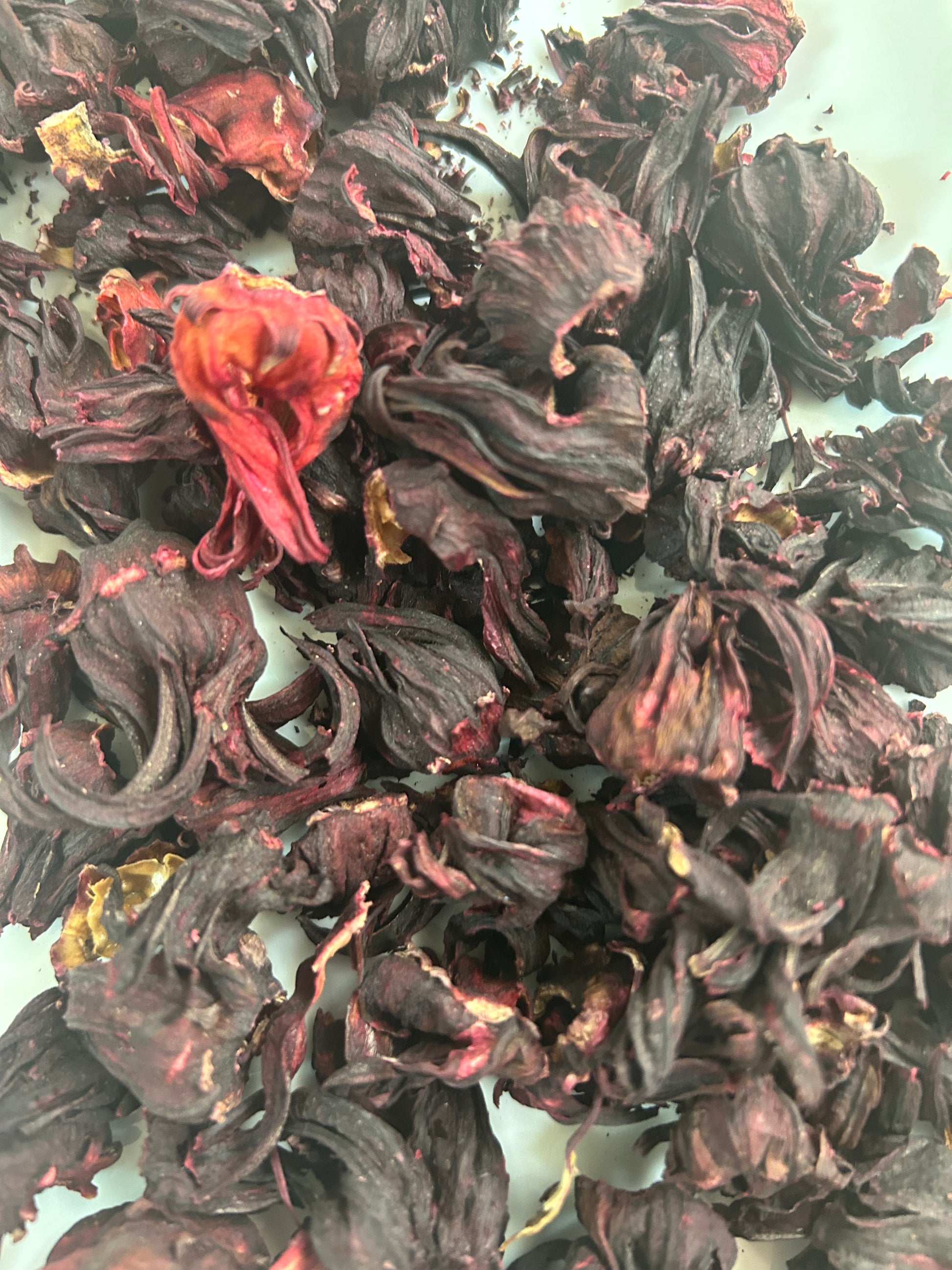 Hibiscus Flowers : Dried - Hibiscus rosa-sinensis Image