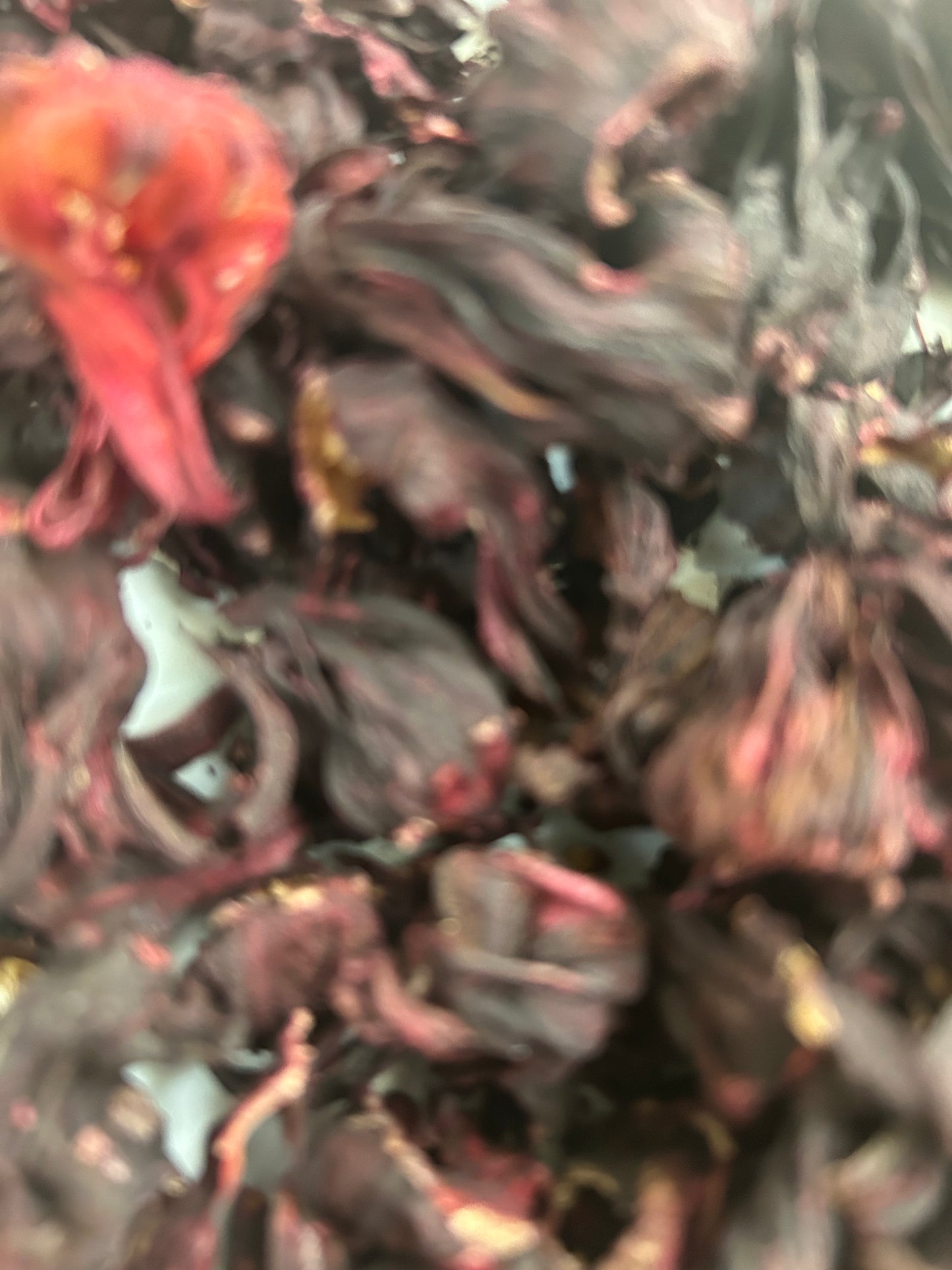 Hibiscus Flowers : Dried - Hibiscus rosa-sinensis Image