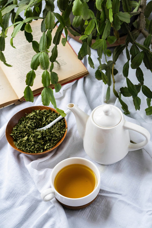 Green Tea - Camilla sinensis Image