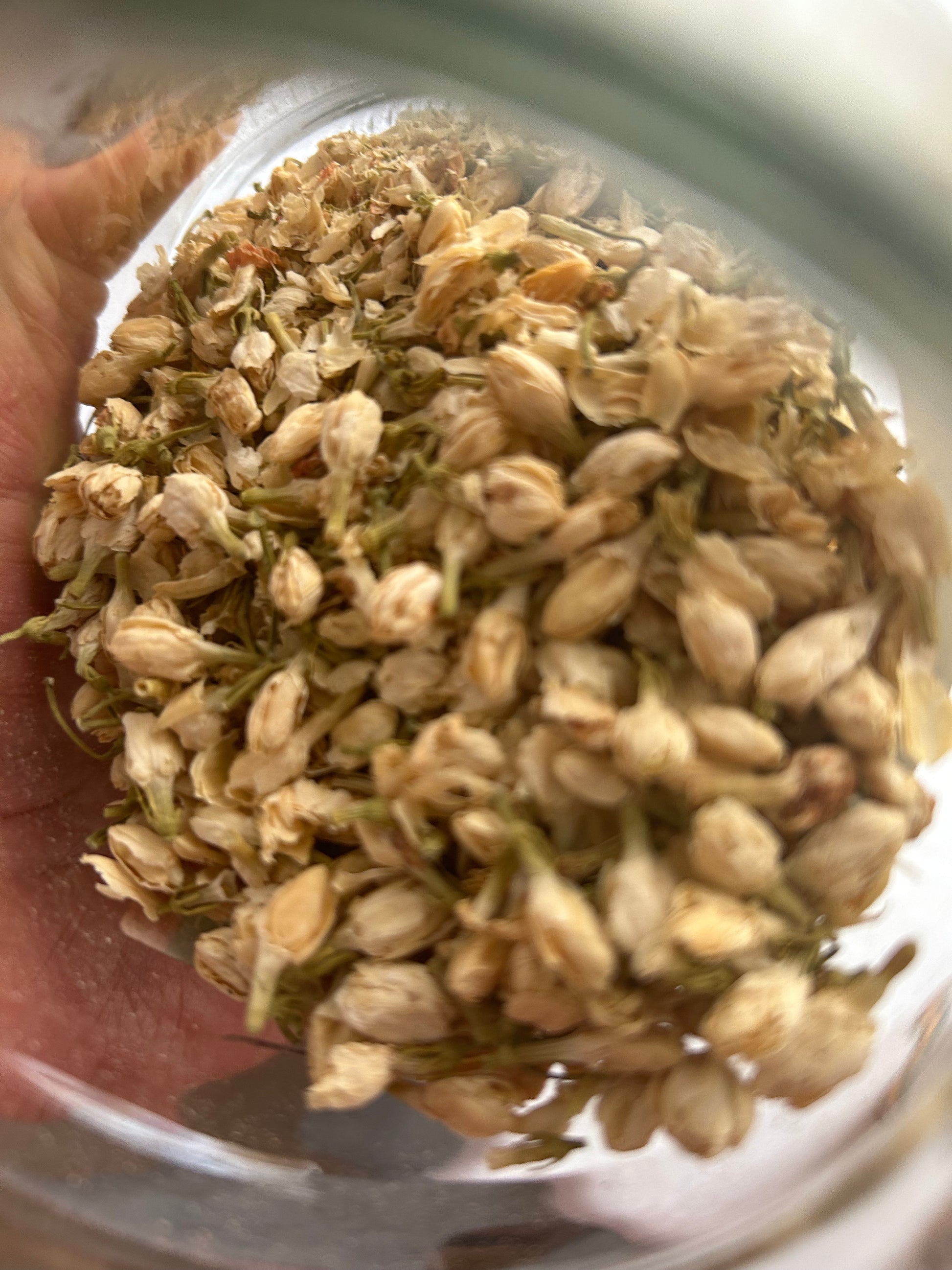 Jasmine Flowers : Dried - Jasminum officinalis Image