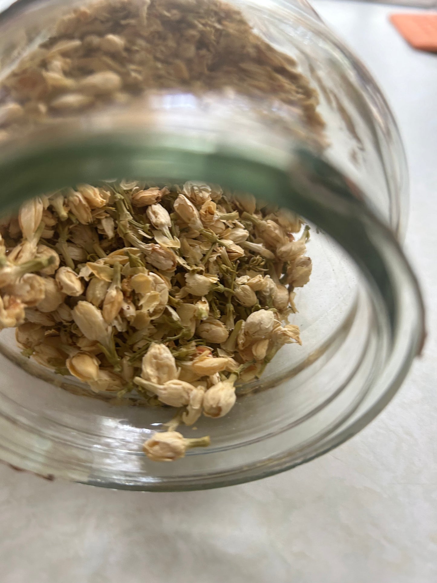 Jasmine Flowers : Dried - Jasminum officinalis Image