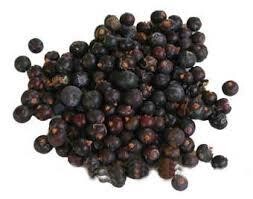 Juniper Berry