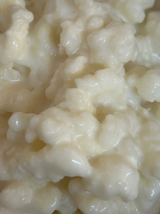Milk Kefir Grains:  Live Cultures Image