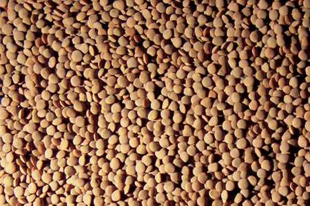 Lentils Image