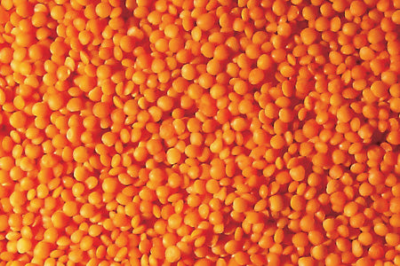 Lentils Image