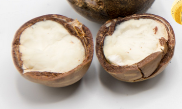 Macadamia Nuts Image
