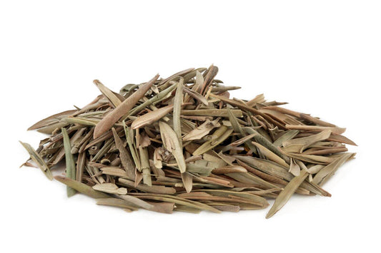 Olive Leaf Dried Image