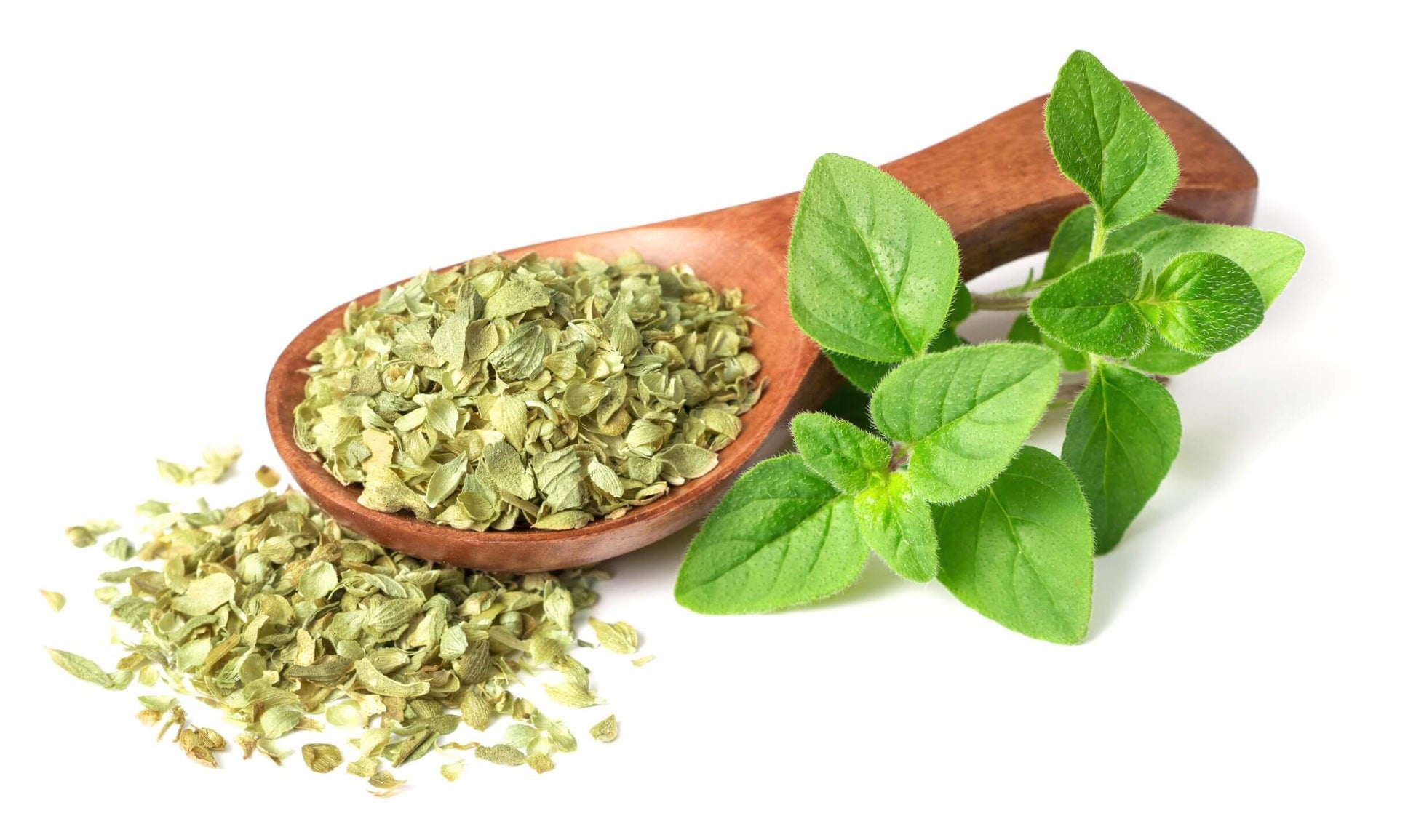 Oregano Image