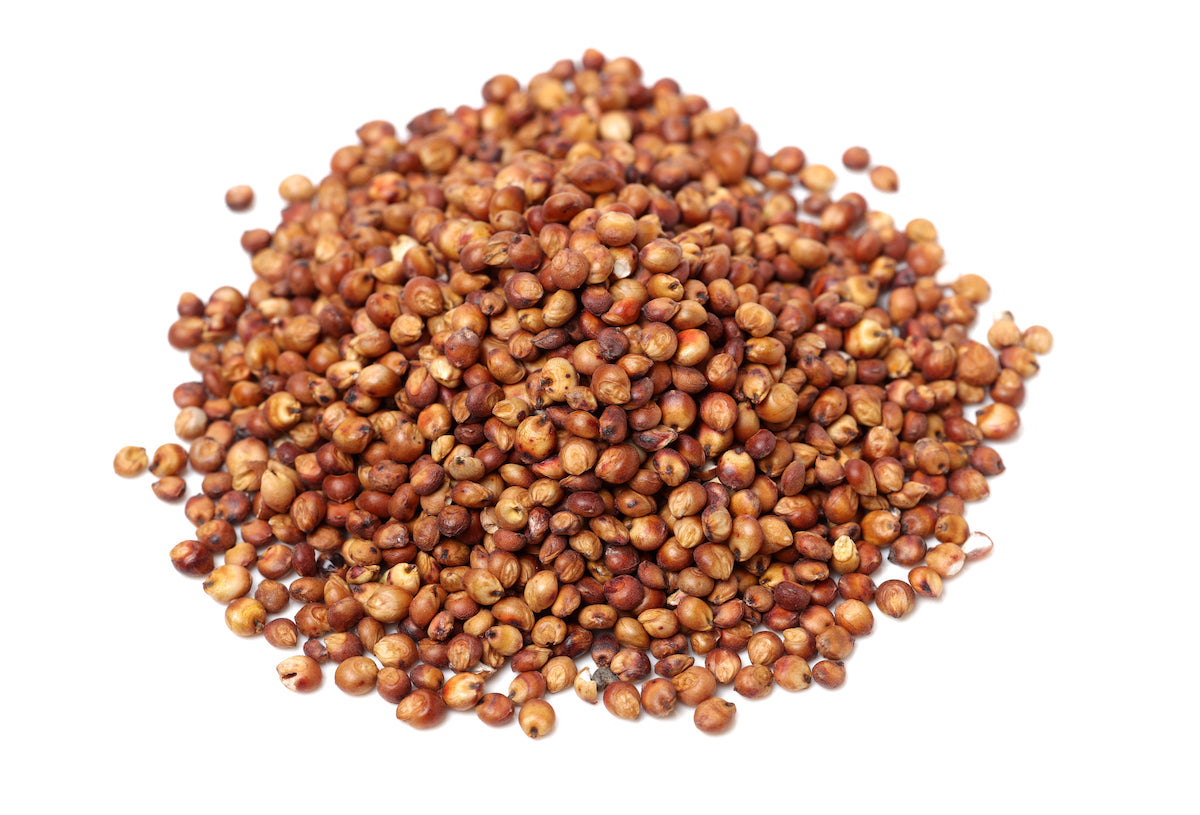 Sorghum Image