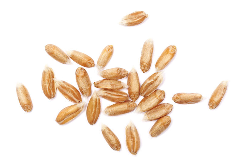 Spelt Image
