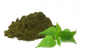 Nettle Stinging: Ground - Urtica dioica