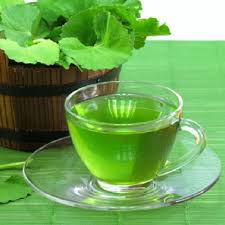 Gotu Kola - Centella asiatica Image