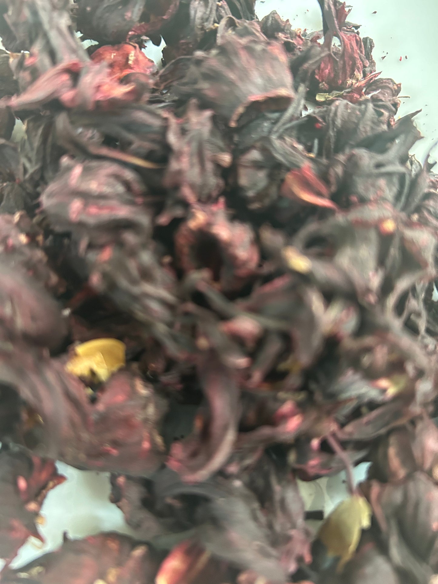 Hibiscus Flowers : Dried - Hibiscus rosa-sinensis Image