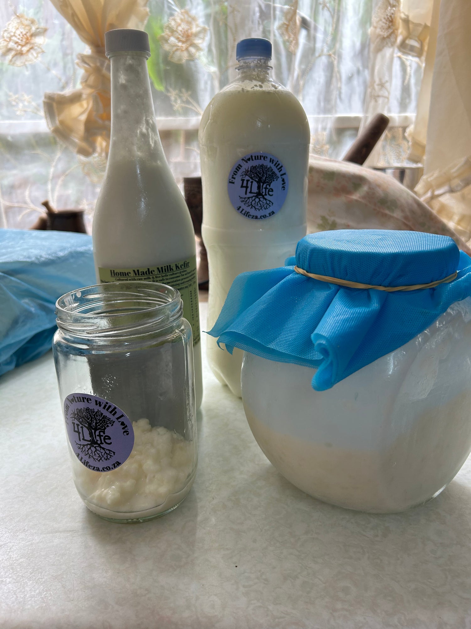 Milk Kefir