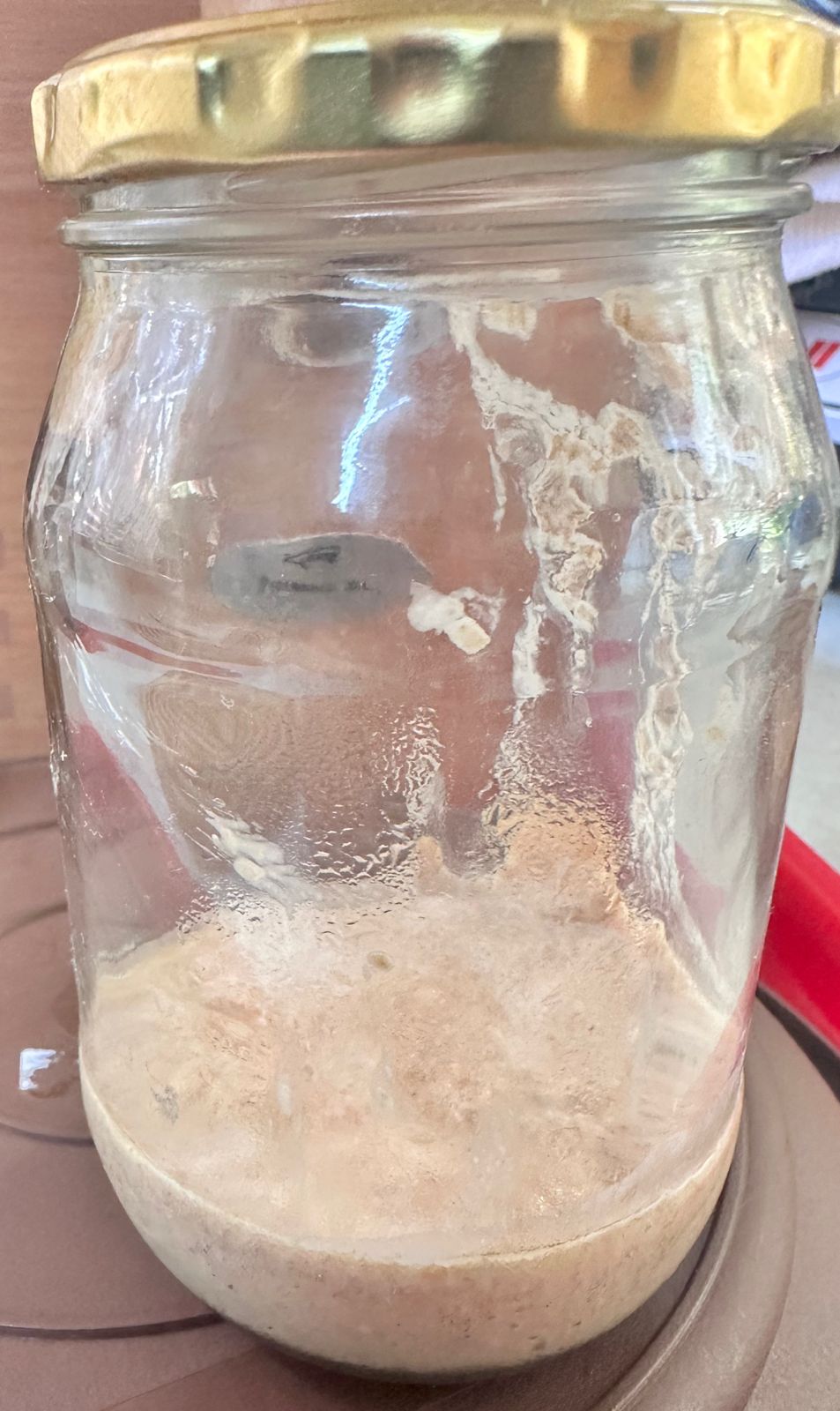 Sourdough Live Culture - Since 2010