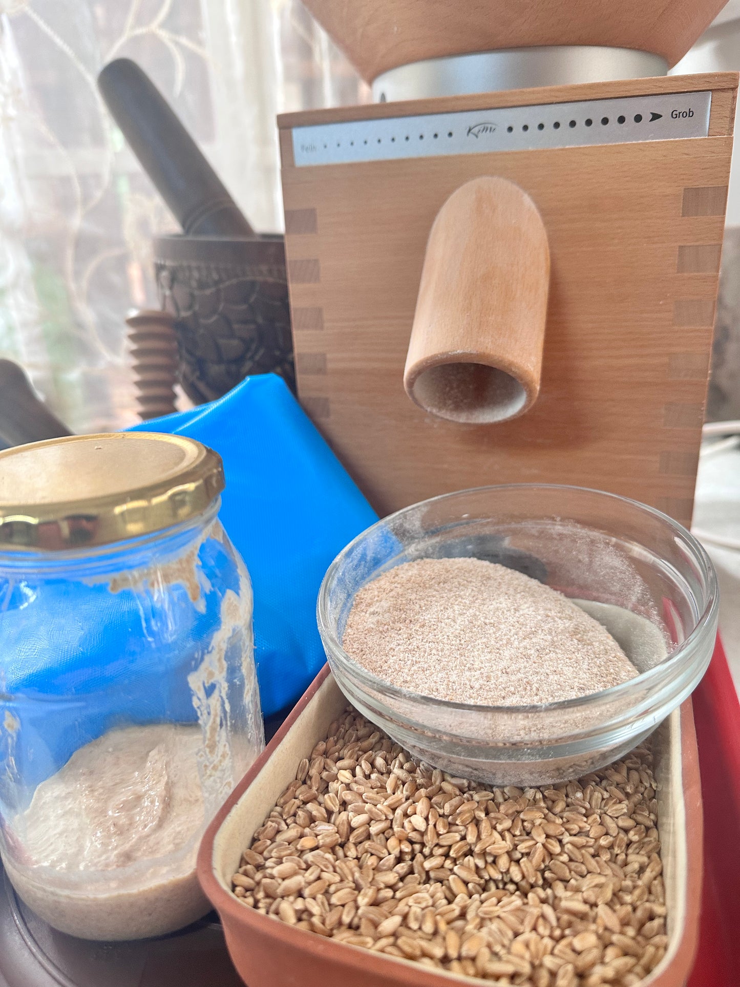 Sourdough Live Culture - Since 2010